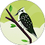 Abdul Rofe Avatar