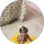 S. Anbalagan Avatar