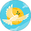 Kalyan Kalyan Avatar