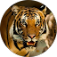 Gopinath Achariya Avatar