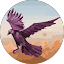 Russhan Russhan Avatar
