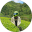 Dhana 78 Avatar