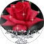 saranya balaji Avatar