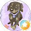 shiny sasha Avatar